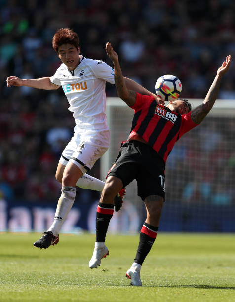 上的培养模 上的培养模