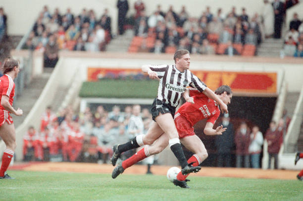 新的希望 新的希望